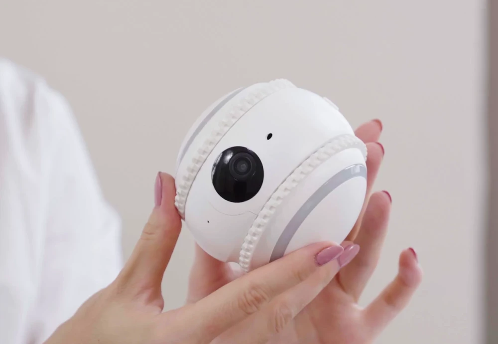 pet camera for cats